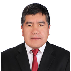 Víctor Flores, Gerencia General de LIMASOL SRL